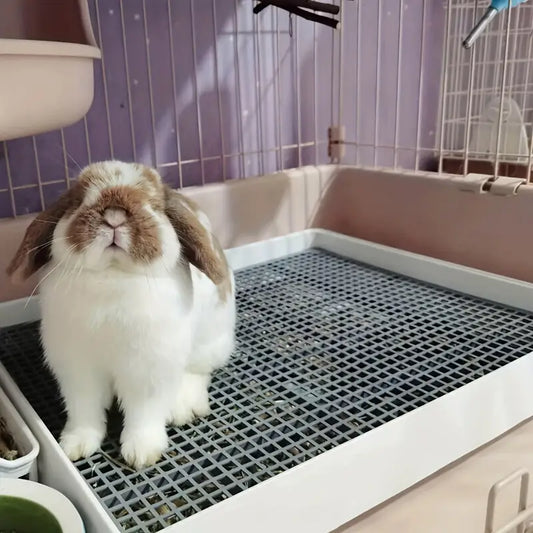 Rabbit Litter Box