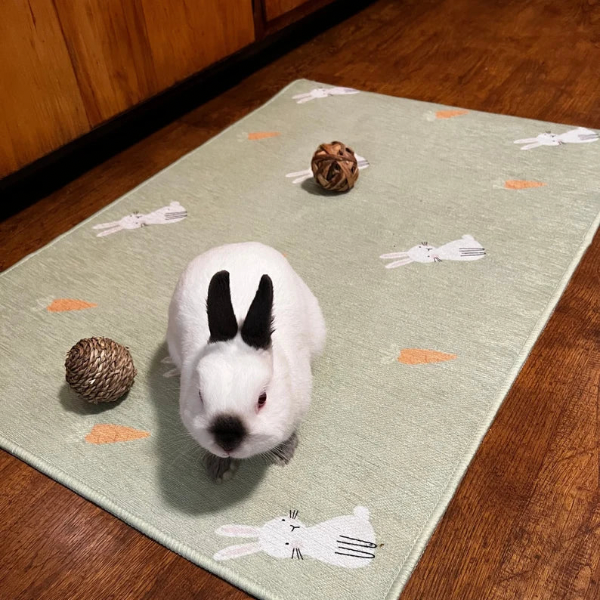 Rabbit Mat, Green