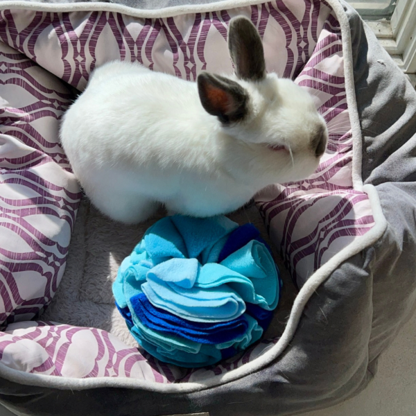 Binky Ball - Bunny Treat Ball