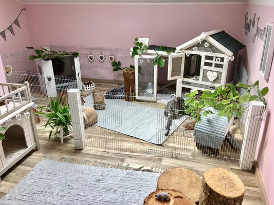 Creating a Bunny Paradise: Setting Up the Perfect Rabbit Habitat