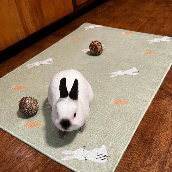 Non-slip Pet Playpen Floor Mat, Rug Playmat for Rabbits, Cats, Dogs.  Premium Playpen Floor Mat for Rabbits Soft and Safe Surface for Pets 