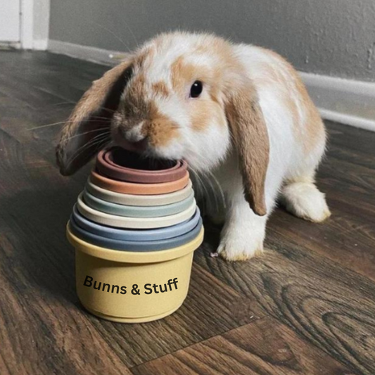Bunny Stacking Cups.  8-piece Set