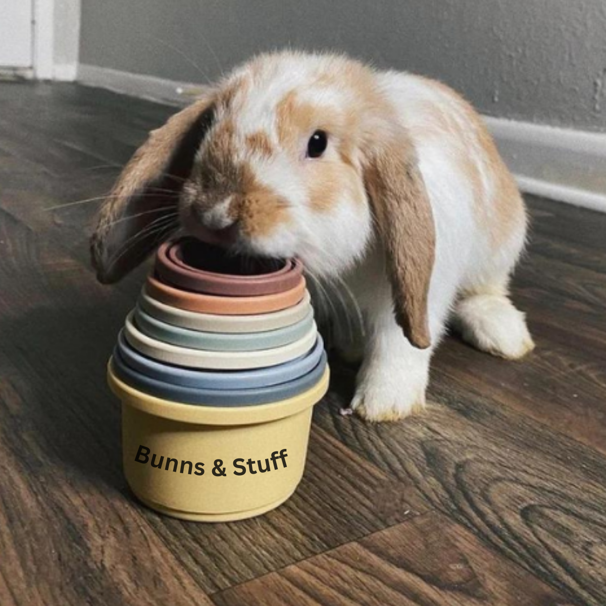 Bunny Stacking Cups.  8-piece Set