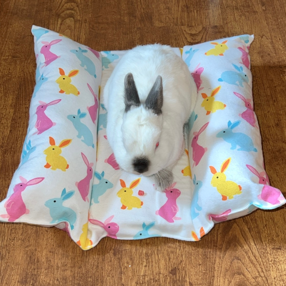 Bunny Snuggle Bed Pink – Bunns & Stuff